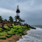 pexels-imshafeek-18447449