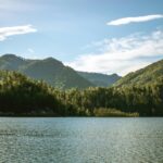 pexels-lilartsy-2397630